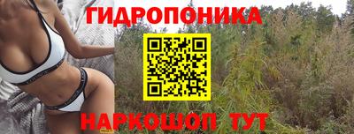 кокс Будённовск